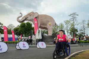 BIB: 
                            <button type="button" onclick="openModal(26528671)" class="btn btn-primary btn-sm float-right btn-popup" data-toggle="modal" data-target=".modal-high-quality">
                        <i class="fas fa-shopping-cart"></i> Add to Cart
                    </button>
                                            <button type="button" onclick="isThisMe(26528671, true)" class="btn btn-success btn-sm float-right btn-popup btn-isme hidden" data-toggle="tooltip" data-placement="bottom" title="นี่คือรูปของคุณใช่ไหม คลิกที่นี่เพื่อเอาเข้าอัลบั้ม">
                        <i class="fas fa-plus"></i> Add to album
                    </button>
                    <button type="button" onclick="isThisMe(26528671, false)" class="btn btn-warning btn-sm float-right btn-popup btn-isnotme hidden">
                        <i class="fas fa-ban"></i> Remove from album
                    </button>